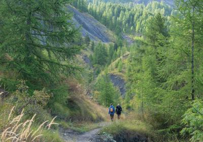 Les Dimanches du Sauze : Sortie avec accompagnateur en montagne - Le Sauze d’hier à aujourd’hui