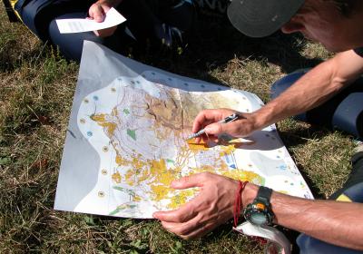 Carte - Course d'orientation