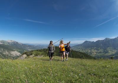 "Fête de la nature" Randonnée accompagnée dans le massif de Roche Close_Seyne - Randonneurs