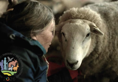notes of sheepland