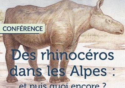 Conférence « Des rhinocéros dans les Alpes : et puis quoi encore ? »_Auzet - Affiche
