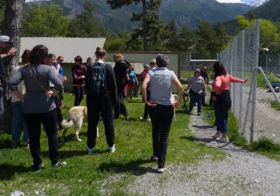 20 ans de protection animale : fête au refuge AUDACCE_Saint-Pons