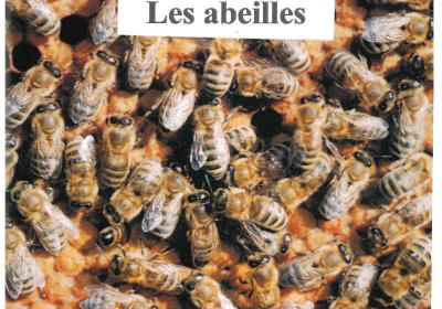 exposition "les abeilles"_Montclar