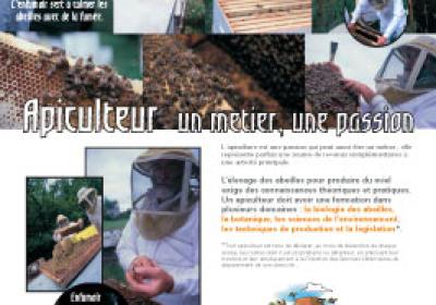 Exposition "les abeilles"_Montclar - md04