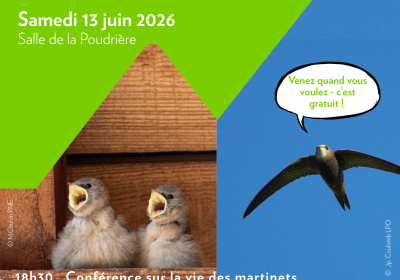 Fête du Martinet_Embrun - Fête du Martinet_Embrun