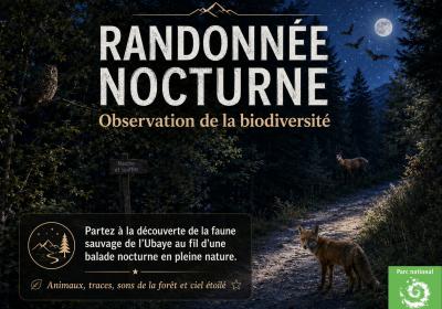 Festival Astro Loup - Randonnée nocturne_Pra Loup 1600 - Randonnée nocturne