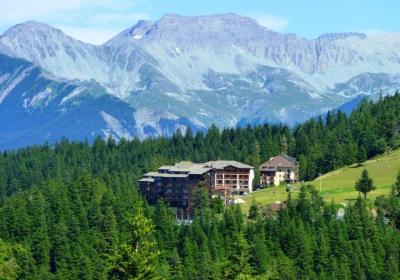 Résidence Les Blanches Provençales - Les Blanches Provençales