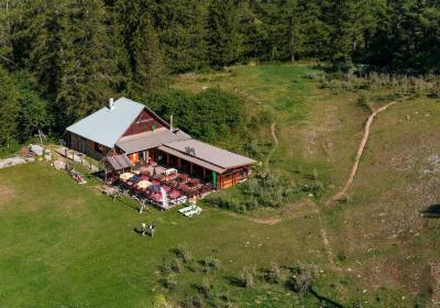 Restaurant Les Clapeiries - Vu du télésiège en été