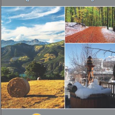 Bulletin municipal 2019