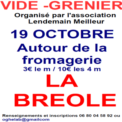 Vide grenier