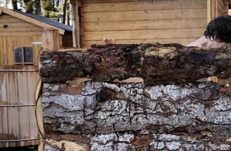 Les bains des bois - L'eau jaillit du sol