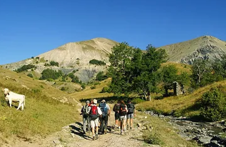 Randonnée découverte de la faune - Rando découverte