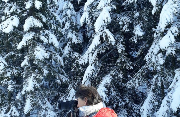 Marianne H'Image_Seyne - Marianne H'Image_Seyne