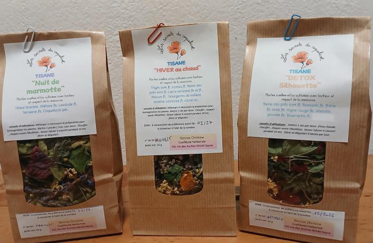 Christine Bonnat, cueilleuse-herboriste - tisanes de plantes médicinales