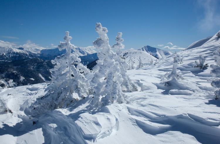 Noël sports - paysage d'hiver