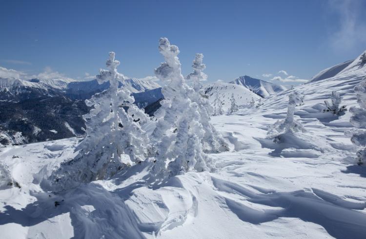 Noël sports - paysages d'hiver