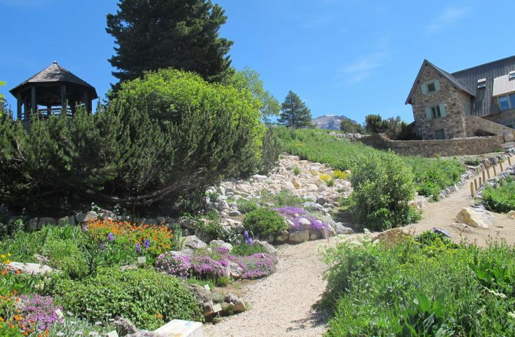 Massifs et rocailles - 
