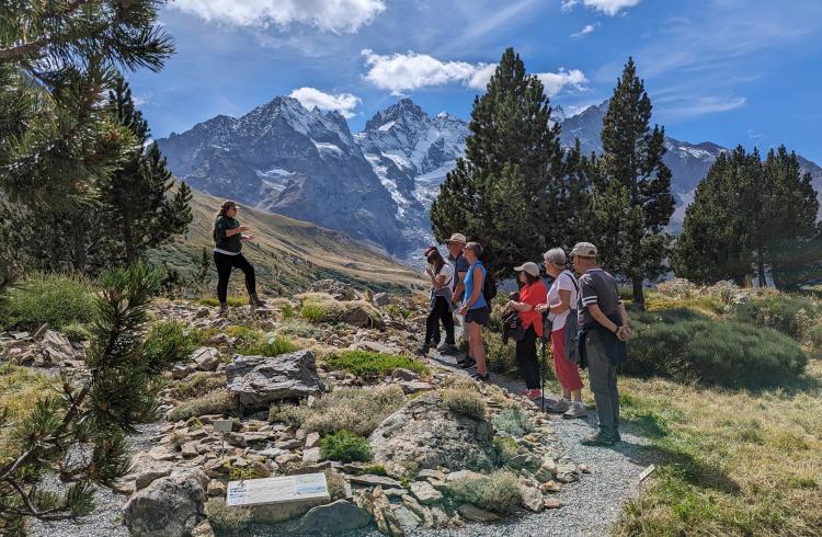 Visite guidée - 