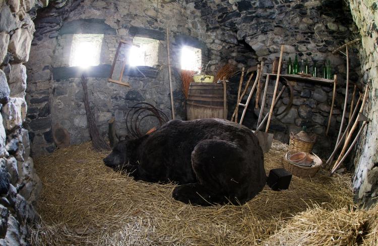 VIAPAC - Route de l'Art Contemporain - Le Donjon de l'ours qui dort