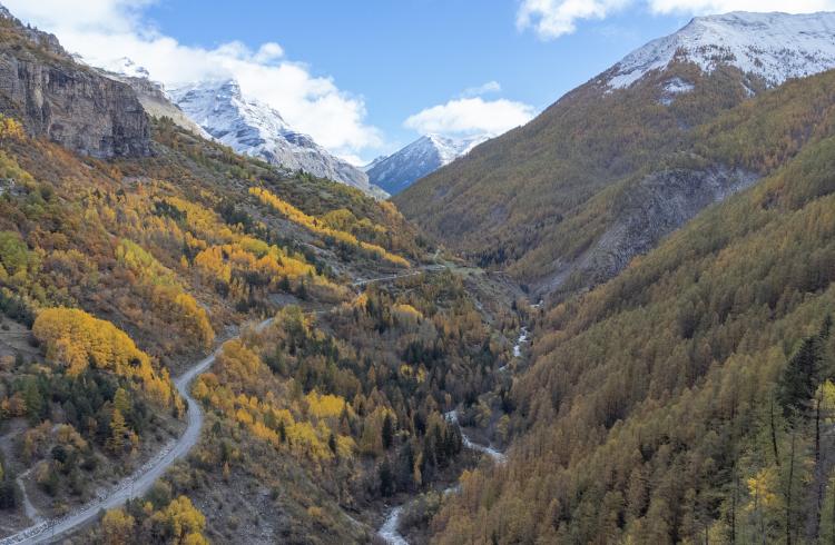 Col de la Cayolle, col des Champs, col d'Allos - "les 3 cols" - Col de la Cayolle