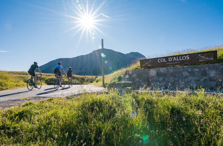 Col d'Allos, col cycliste - Col d'Allos, col cycliste
