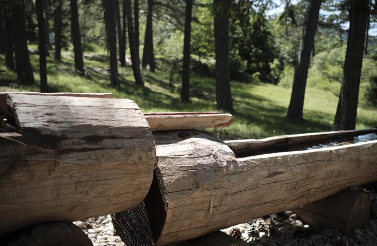 Sentier de découverte du Col de Fontbelle_Le Castellard-Melan
