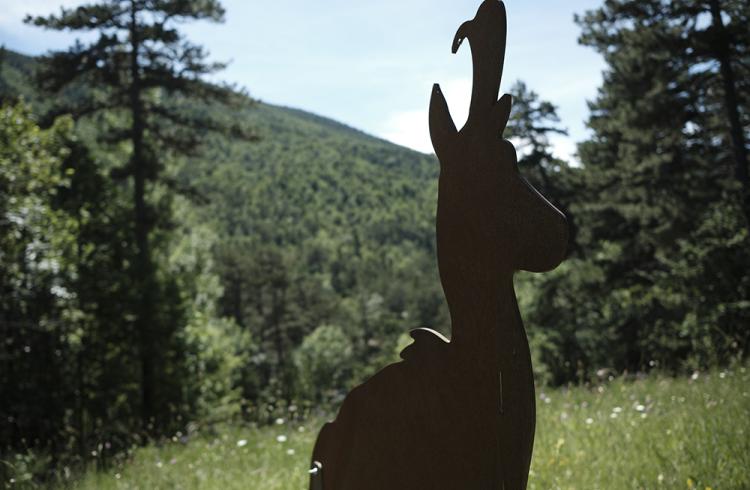 Sentier de découverte du Col de Fontbelle_Le Castellard-Melan