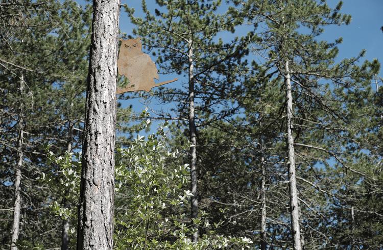 Sentier de découverte du Col de Fontbelle_Le Castellard-Melan