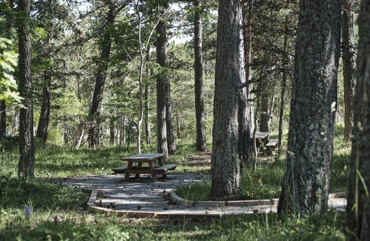 Sentier de découverte du Col de Fontbelle_Le Castellard-Melan