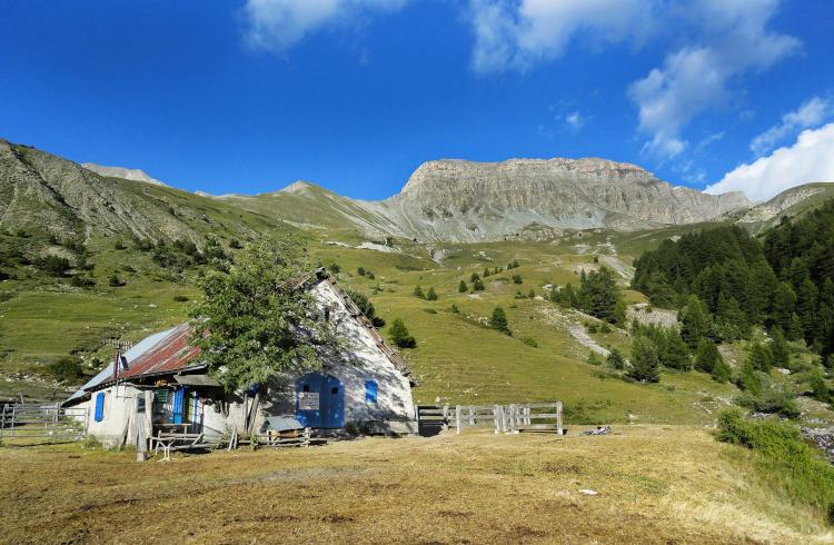 La Cabane des mulets n°15 - La Cabane des mulets
