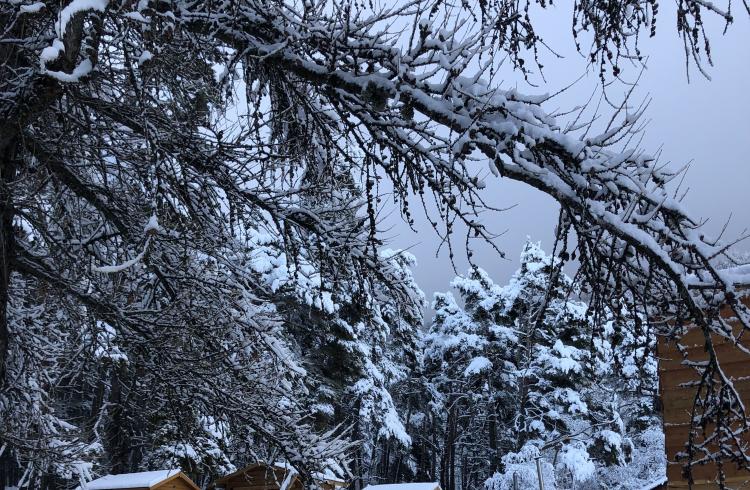 Les bains des bois - Bain_et_Sauna_sous_la_neige