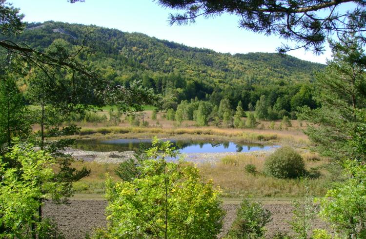 Petit Tour des Chapelles - tourbière_lac_st_Léger_Montclar