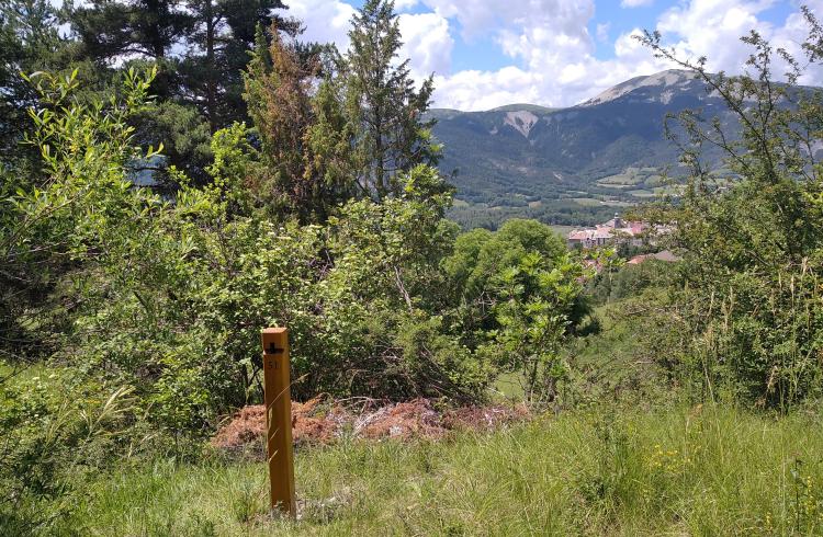 Parcours permanent d’orientation de Seyne - Sentier