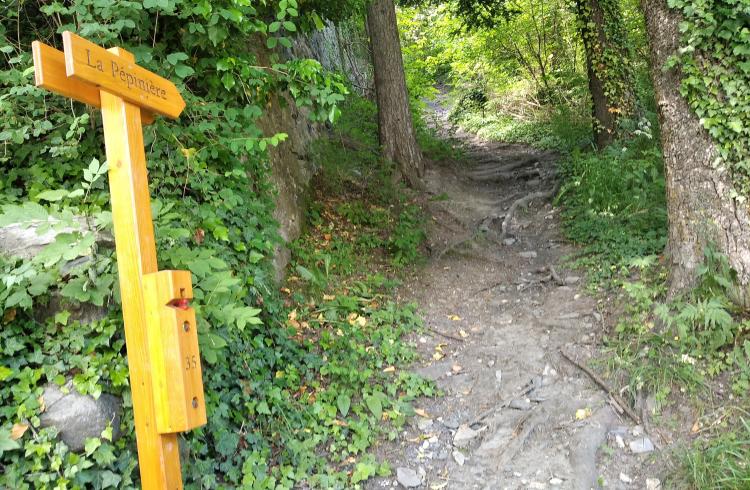 Parcours permanent d’orientation de Seyne - Sentier