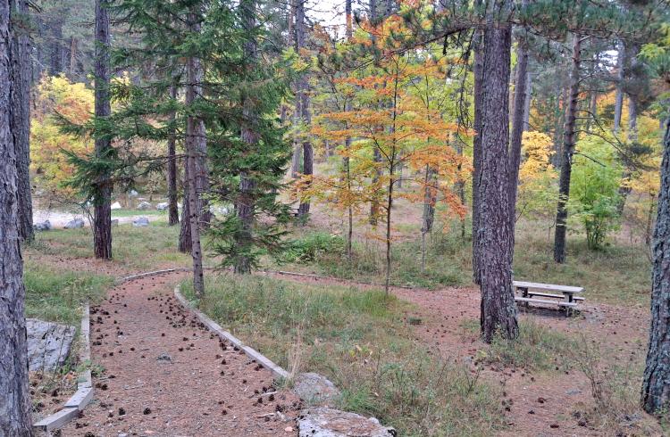 Aire de pique nique du Col de Fontbelle
