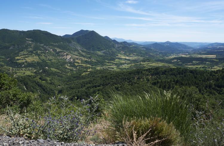 Montée du Col de Fontbelle par Thoard - Montée du Col de Fontbelle par Thoard