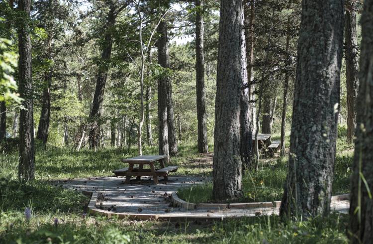 Montée du Col de Fontbelle par Thoard_Thoard