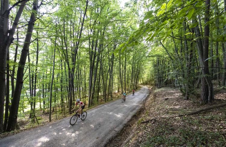 Montée du Col de Fontbelle par Thoard_Thoard