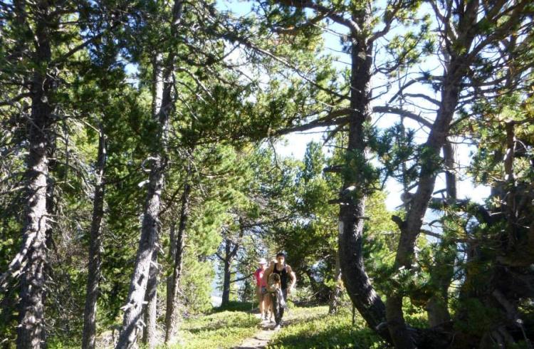 L'Art en Pistes - Sentier artistique et participatif à Chabanon - Randonnée à Chabanon