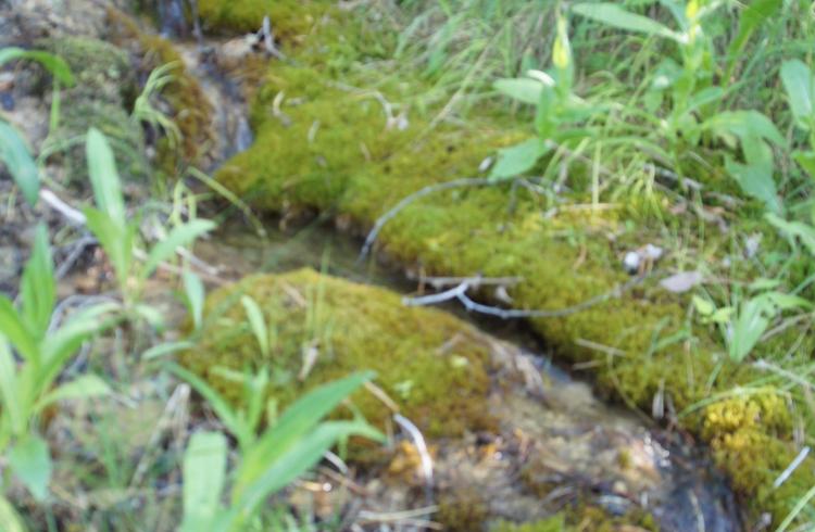Rando curieuse : Les mille cascades avec Hervé_Baratier