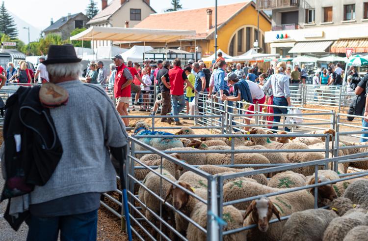 Foire de la Saint-Michel à Barcelonnette - Foire de la Saint-Michel à Barcelonnette