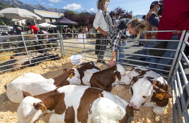 Foire d'octobre Seyne les Alpes - Foire d'octobre Seyne les Alpes