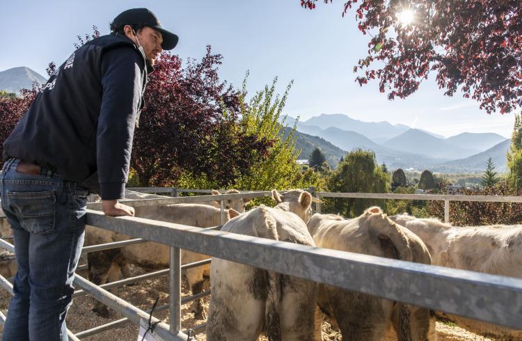 Foire d'octobre Seyne les Alpes - Foire d'octobre Seyne les Alpes