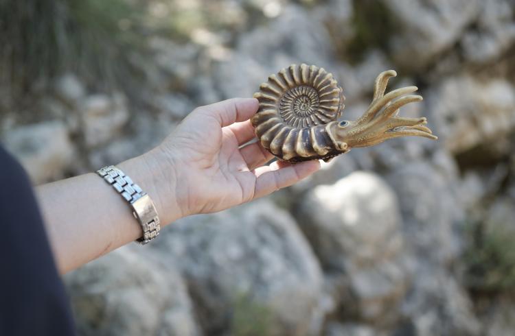 Géotour : La vallée de la Durance - Route du Temps_Château-Arnoux-Saint-Auban