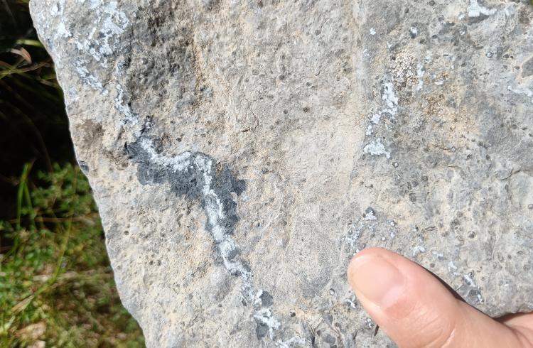 Géotour La Vallée de la Blanche, route de la mémoire de la Terre_Seyne