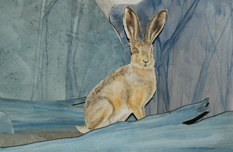 Exposition "Les animaux, la nuit" - Lièvre