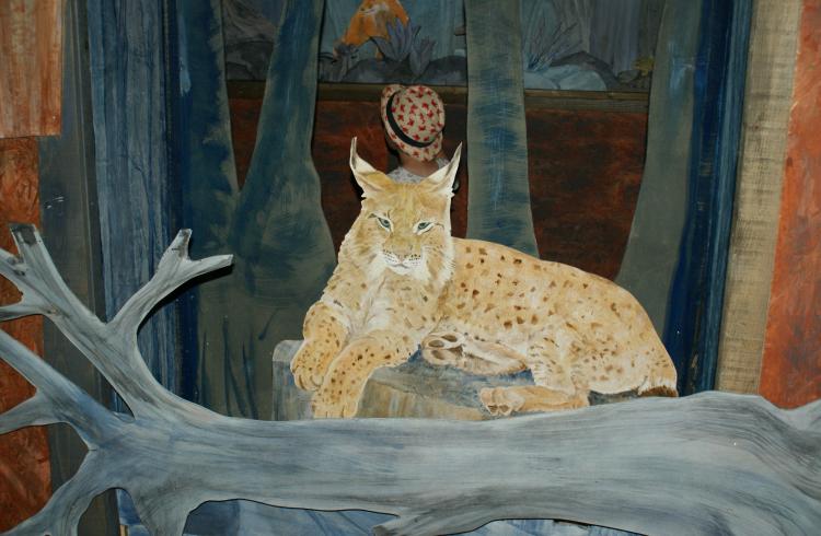 Exposition "Les animaux, la nuit" - Lynx