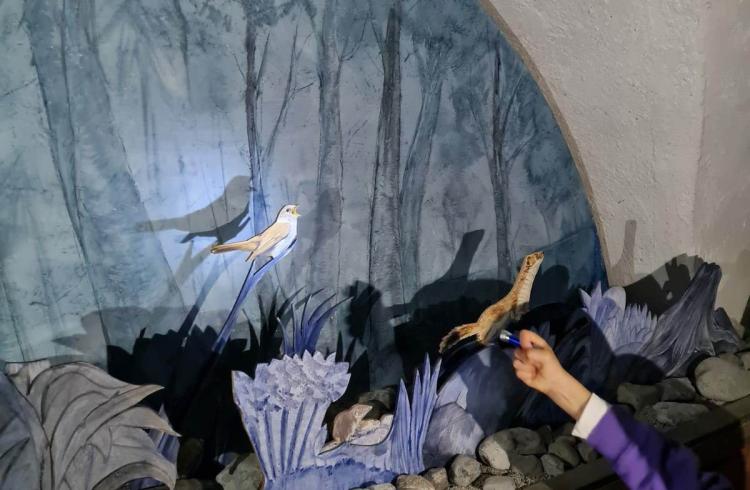 Exposition "Les animaux, la nuit" - Exposition "Les animaux, la nuit"