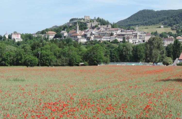 Journées du Patrimoine de Pays & des Moulins - Village de Seyne les Alpes