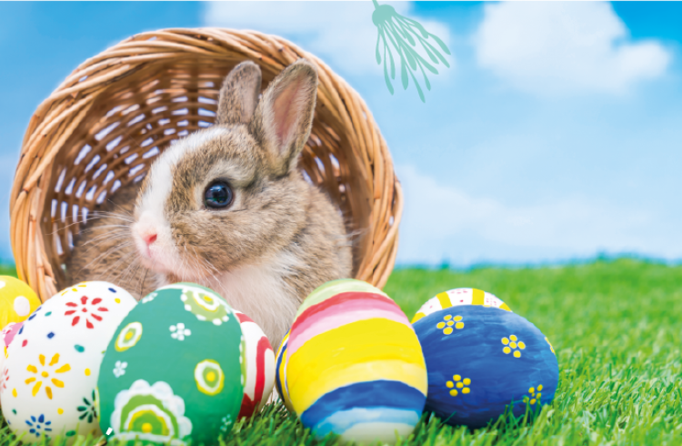 Pâques au Fort - Panier avec des oeufs de pâques
